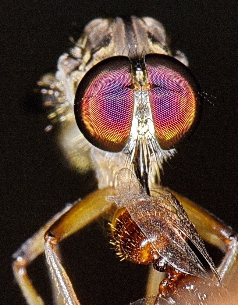 Photograph by Ooi Wei Hoong