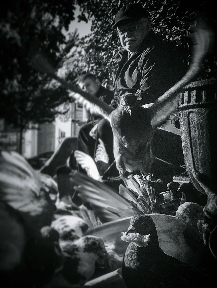 Photograph by 