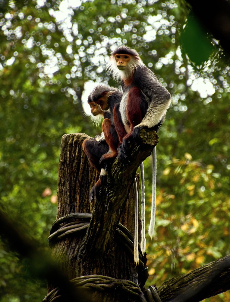 Photograph by Валерий Гончаров