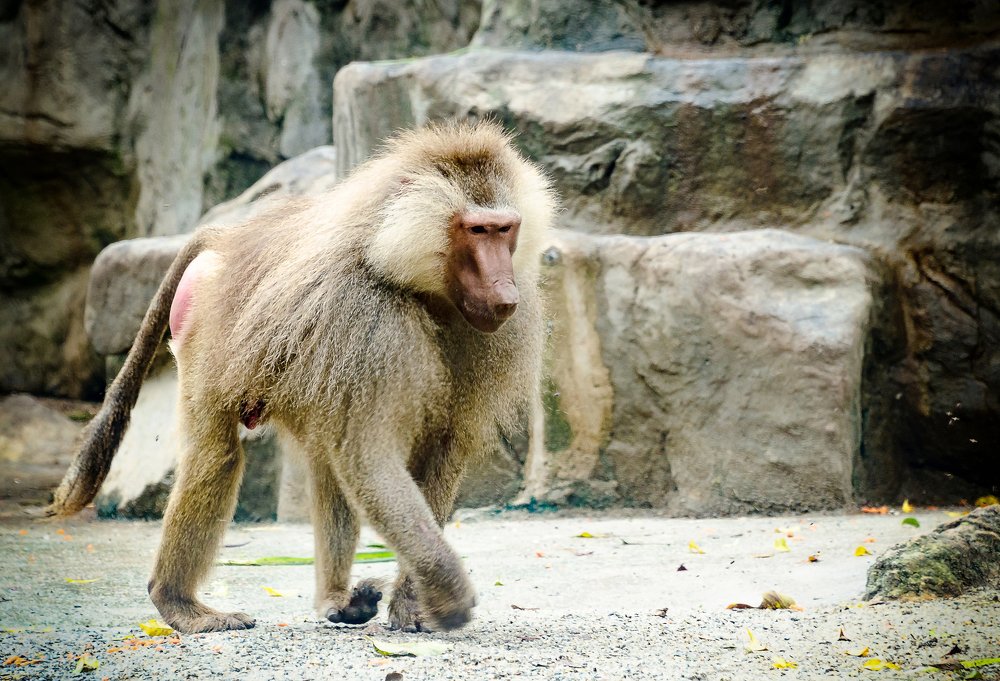 Photograph by Валерий Гончаров