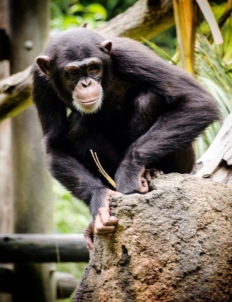 Photograph by Валерий Гончаров