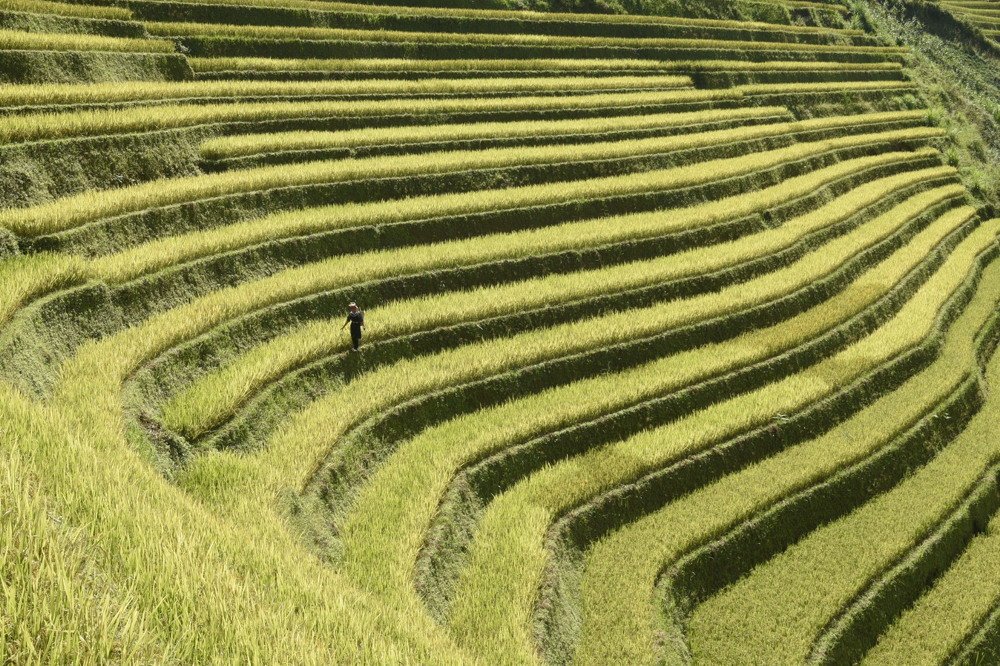 Photograph by Ooi Wei Hoong