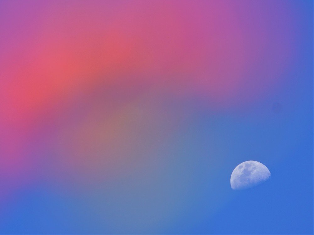 Photograph by Karina Elena Bergagna