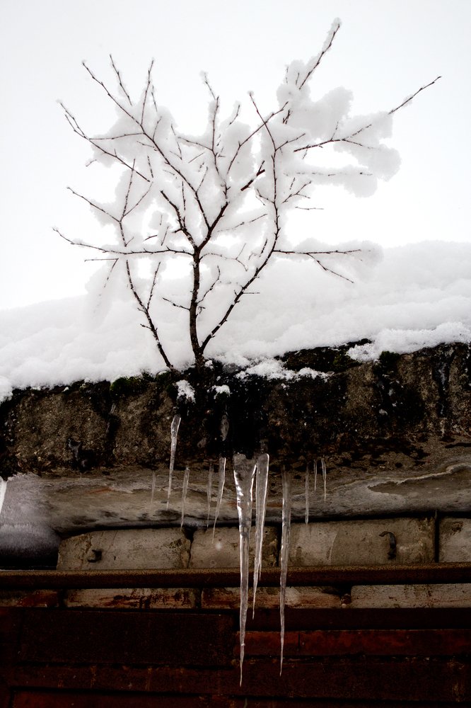 Photograph by Марина Стротова