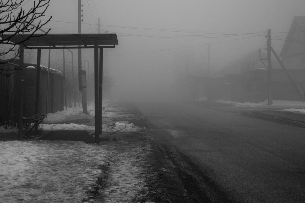 Photograph by Владимир Трубачёв