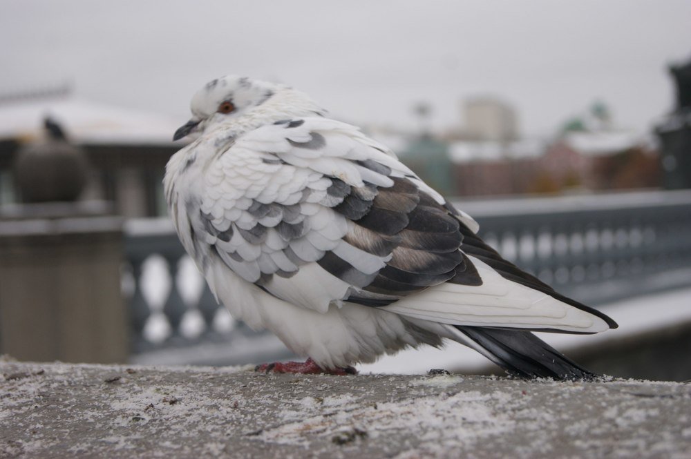 Photograph by Наталья Ананьева