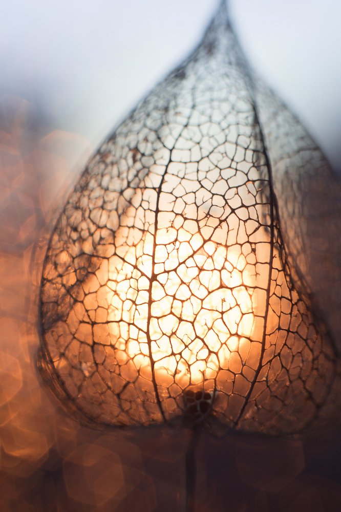 Волшебный фонарик