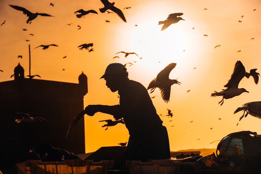 Фотография автора Татьяна Агеева