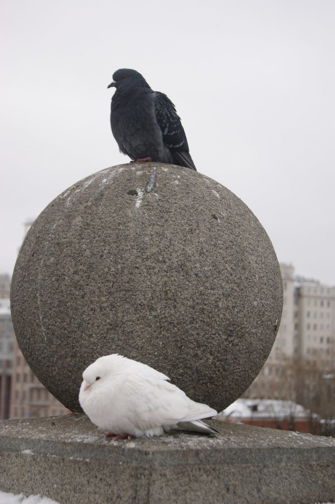 Photograph by Наталья Ананьева