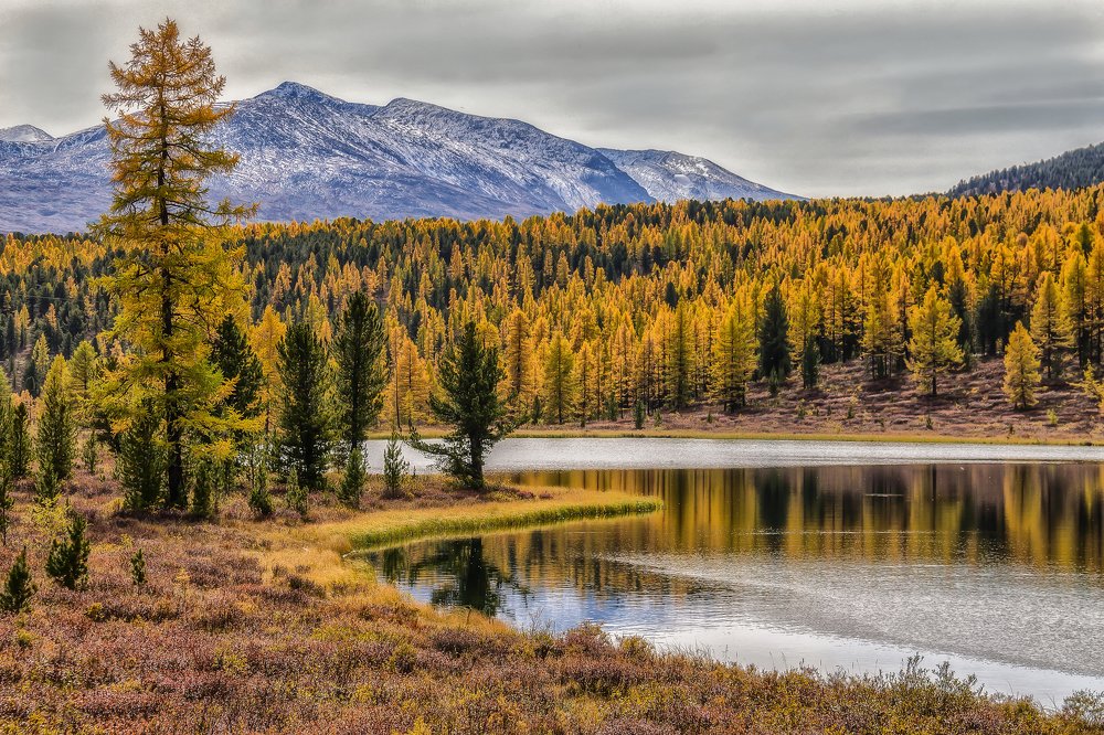 Фотография автора Марина Юдинских