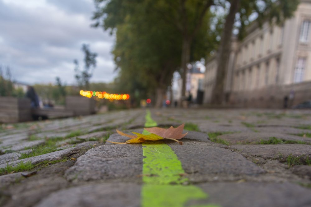 Photograph by Mila Gumnik