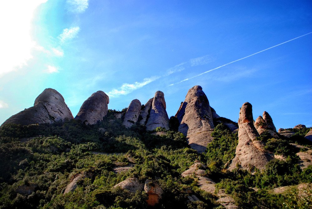 Фотография автора Анастасия Пищулова