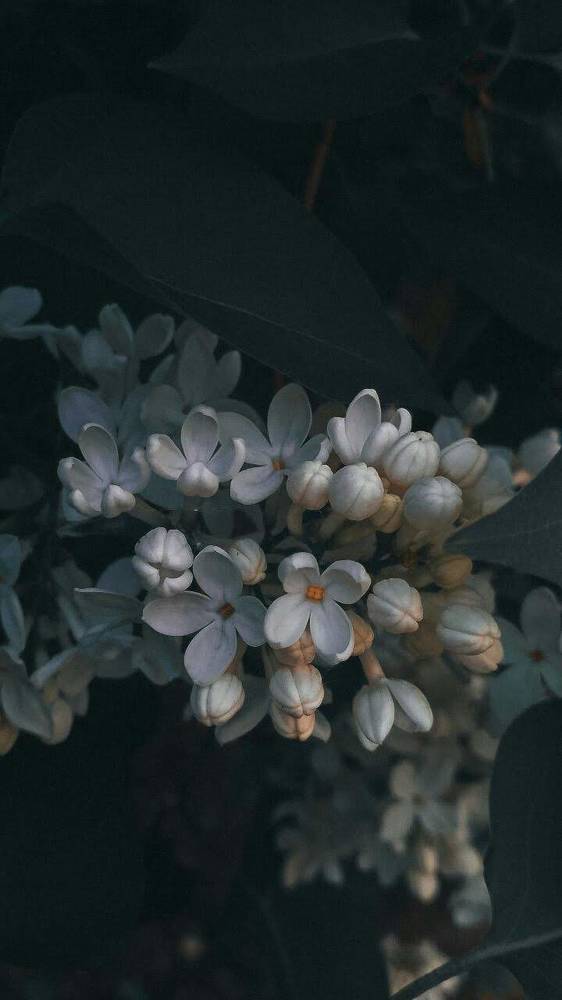 Photograph by Ирина Львова