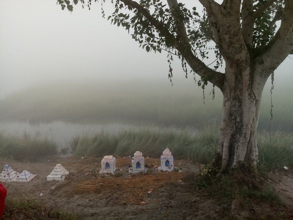 Photograph by MADHAVI KUMARI