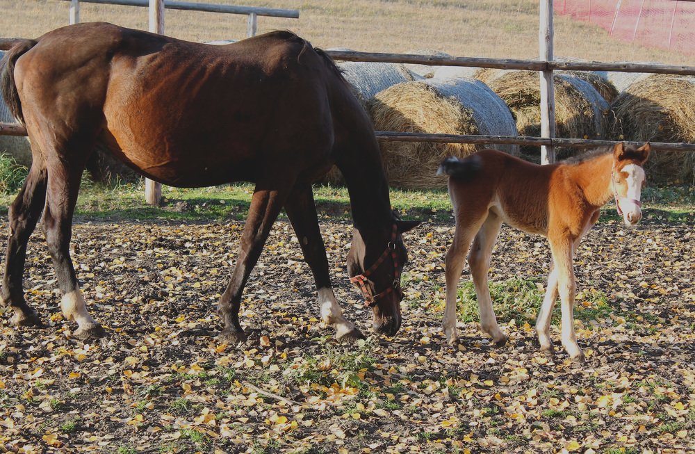 Photograph by Ирина Попел