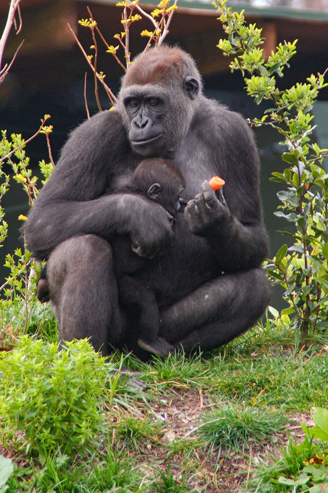 Photograph by Эдуард Шадров