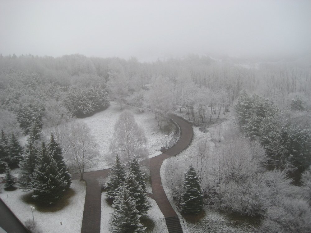 Photo #3995153