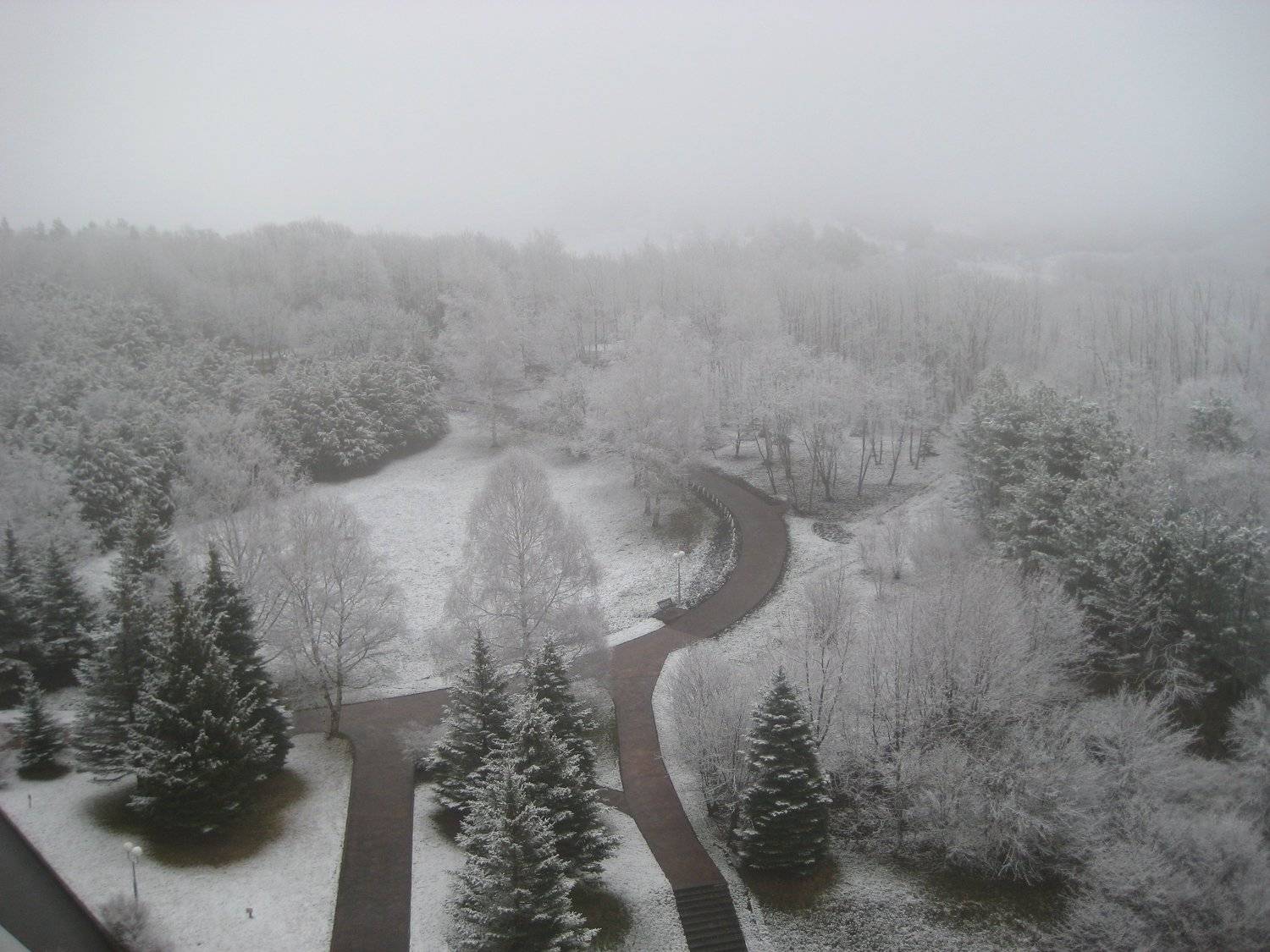 Photo #3995153