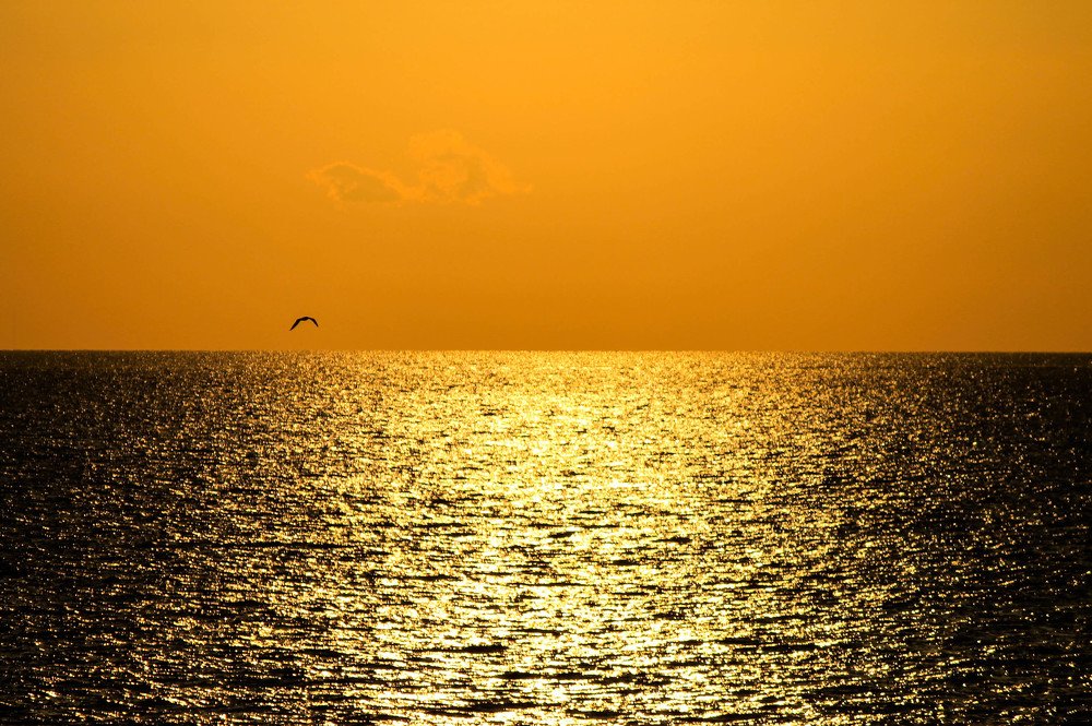 Фотография автора Katerina Georgieva