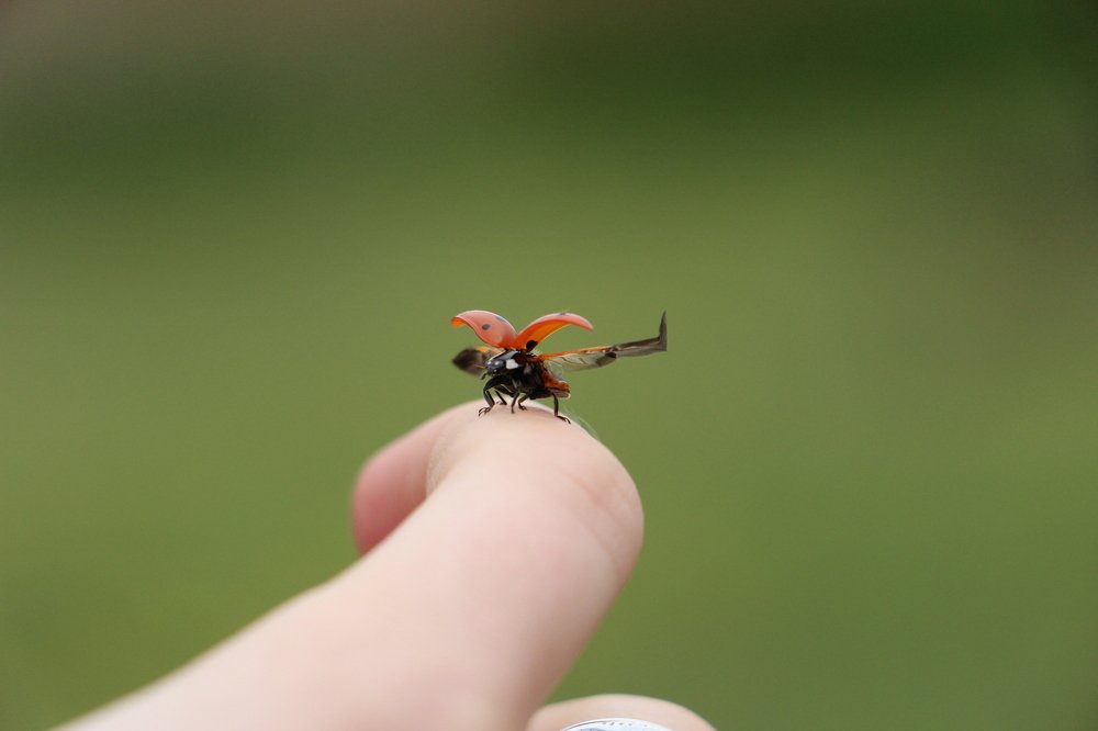 Подготовка к полёту