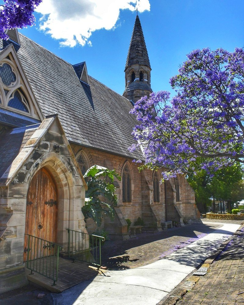 Old Church with Jacaranda blossoms