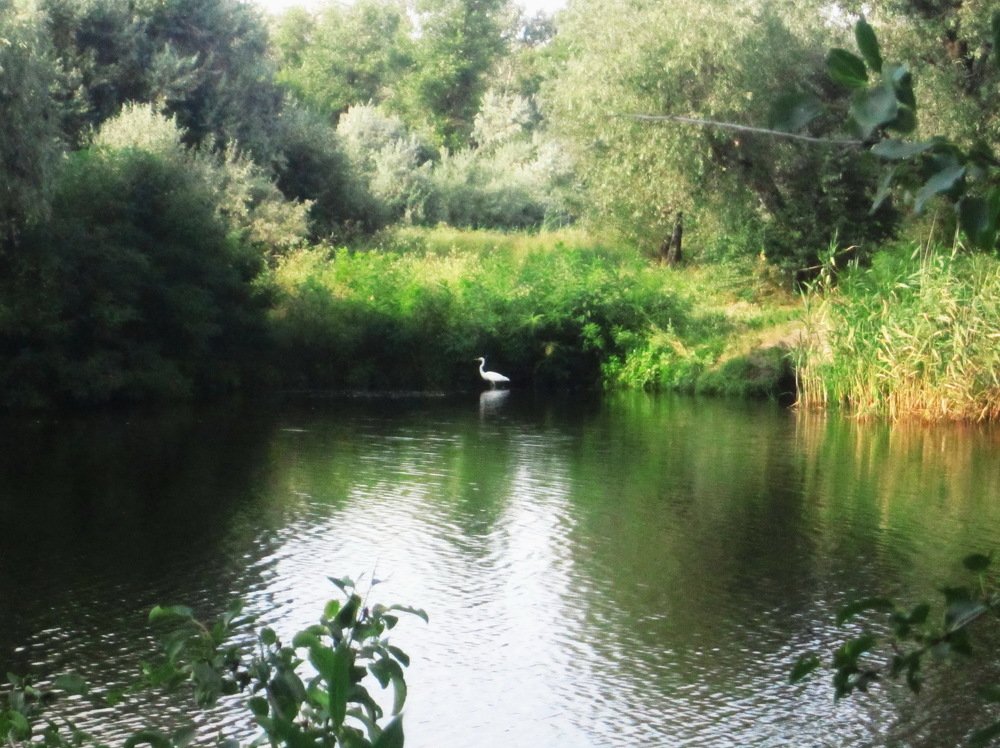 Photograph by Anna Krasova