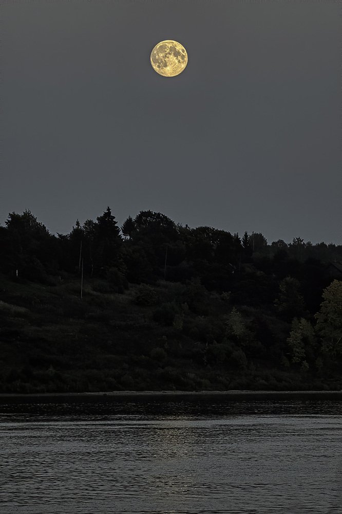 Photograph by Сергей Милицкий