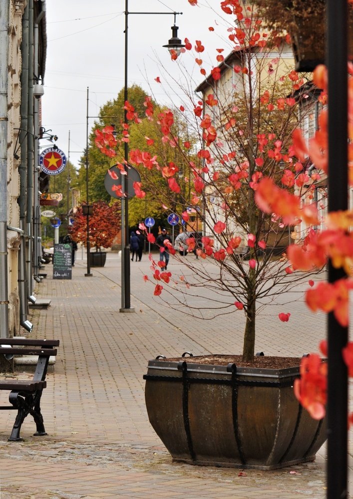 Photograph by Aleksandra Bistrova