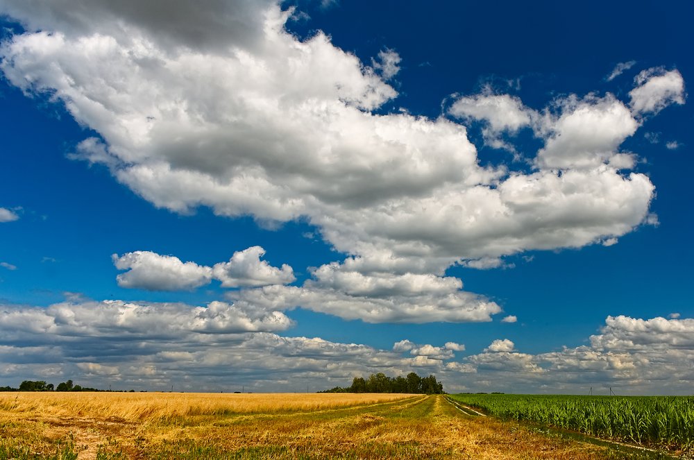 Photograph by Евгений Козлов