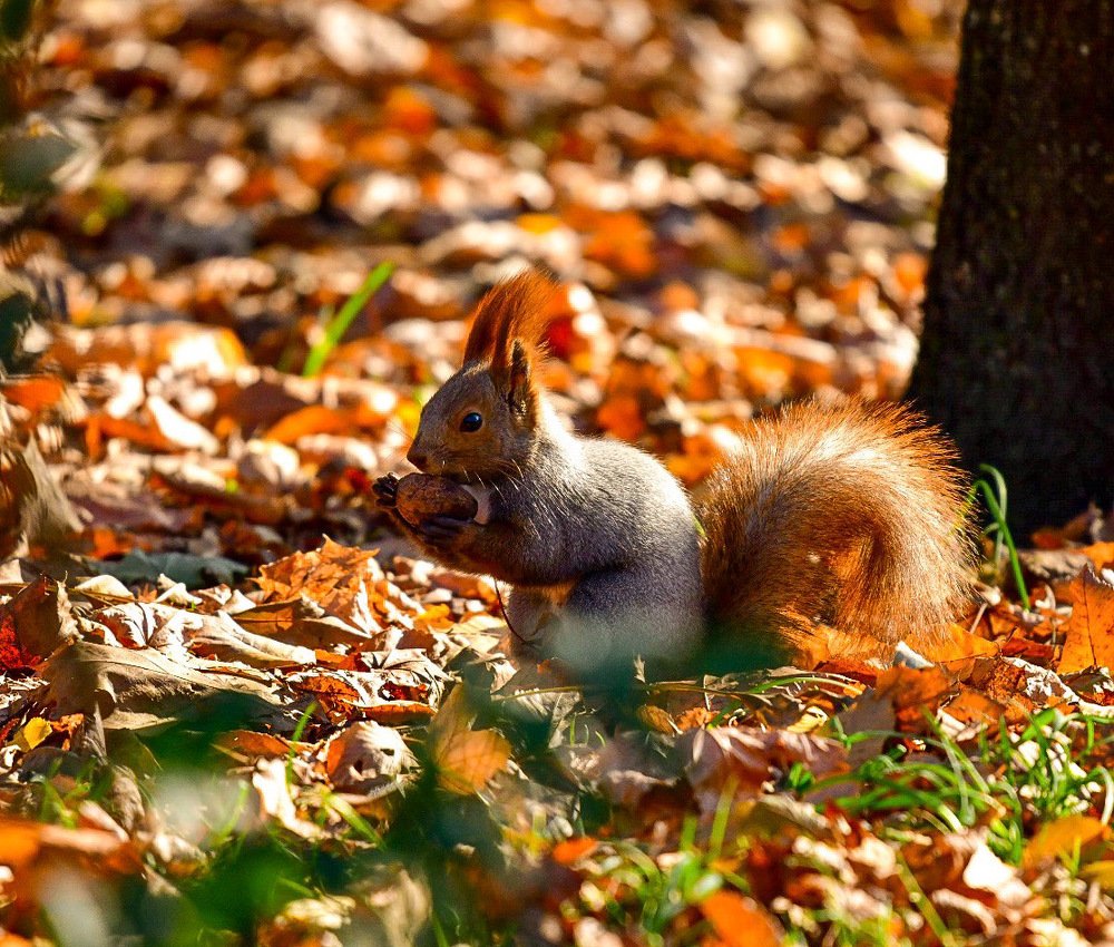 Photograph by Людмила Хакулова