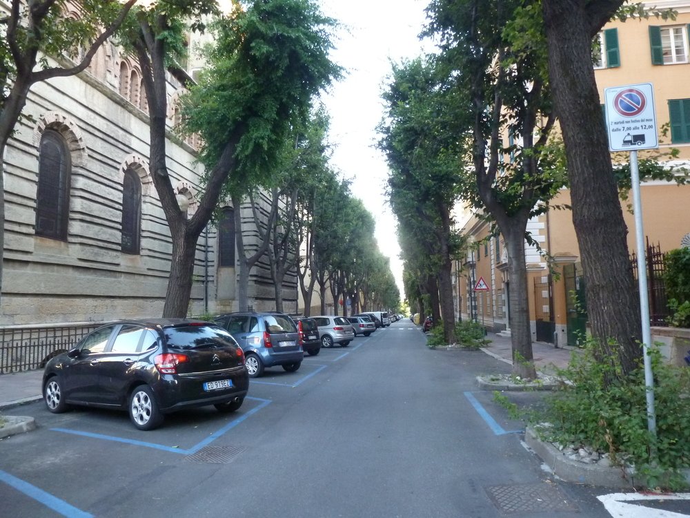 Photograph by оксана