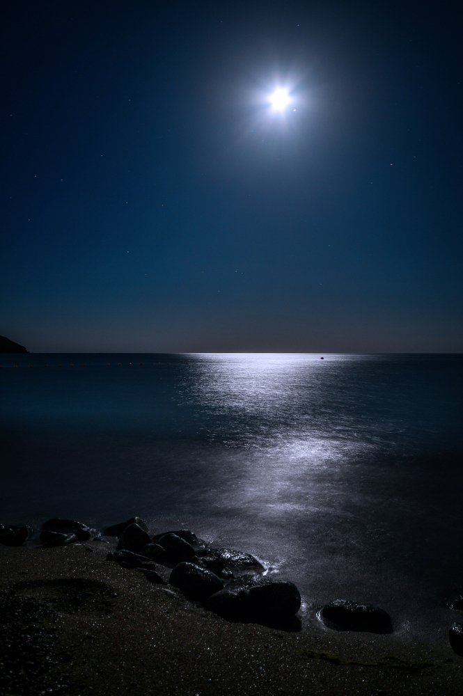 Фотография автора Александра Елагина