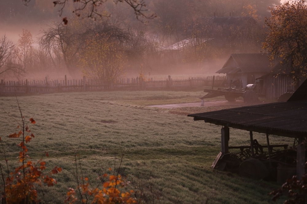 сиреневый туман