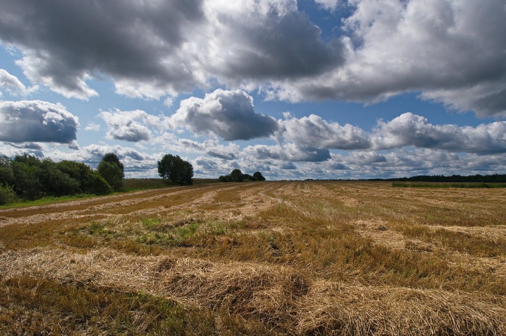 Копны облаков