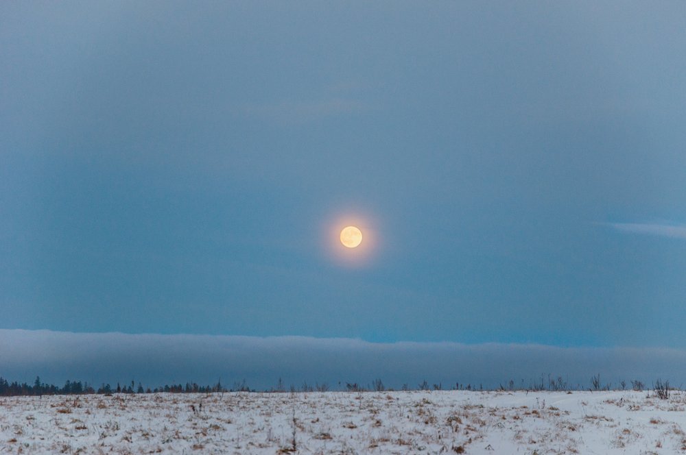 Photograph by Сергей