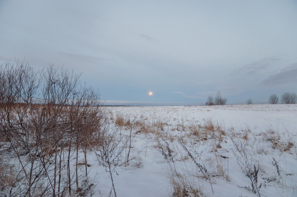 Photograph by Сергей