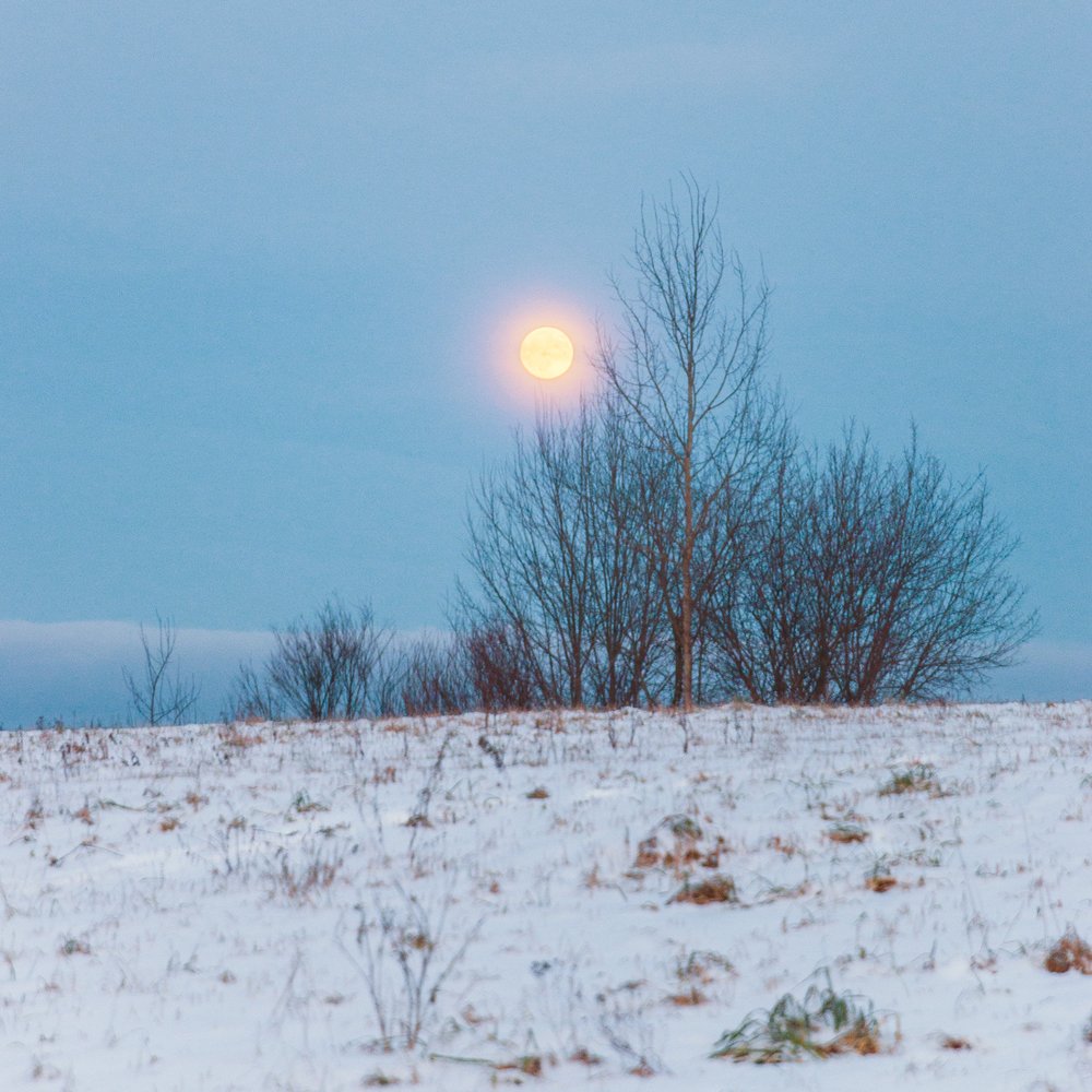 Photograph by Сергей