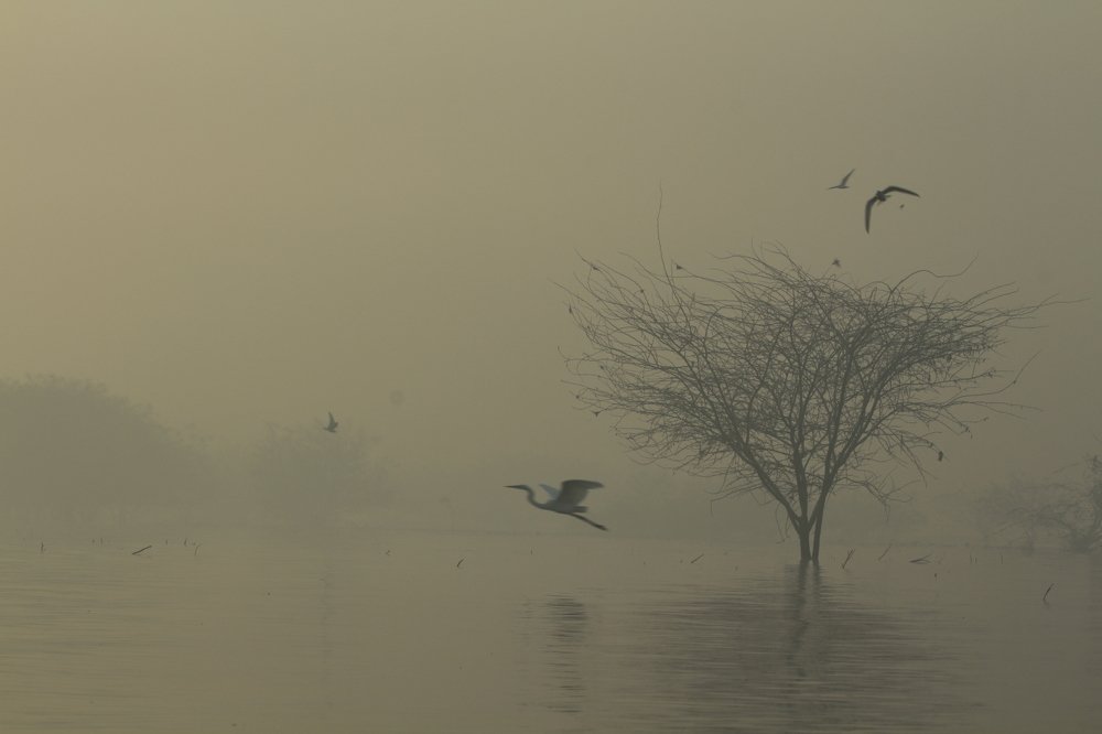 Photograph by Sumit Lunawat