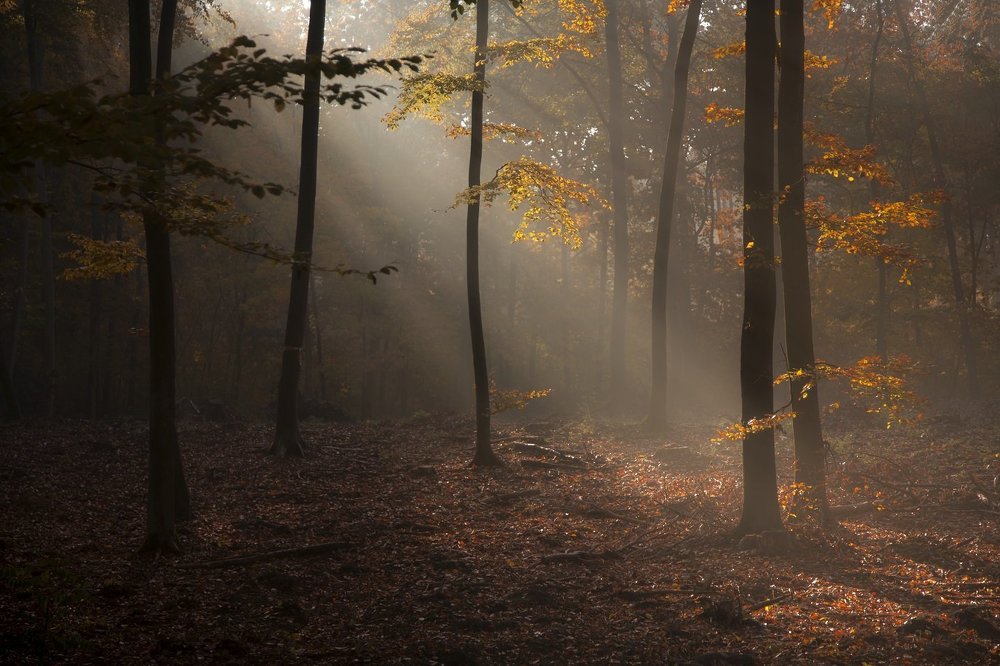 Photograph by  MiroM