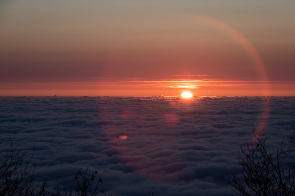 Photograph by Константин Аношин