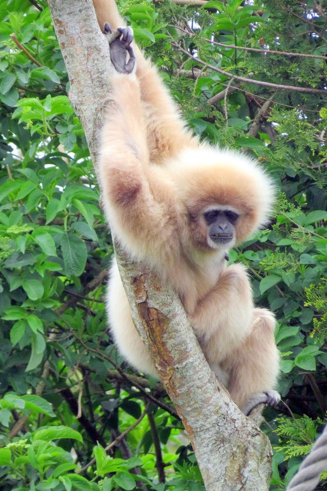 Фотография автора Ольга Завадилика