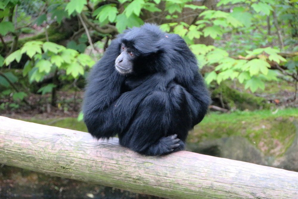 Фотография автора Ольга Завадилика