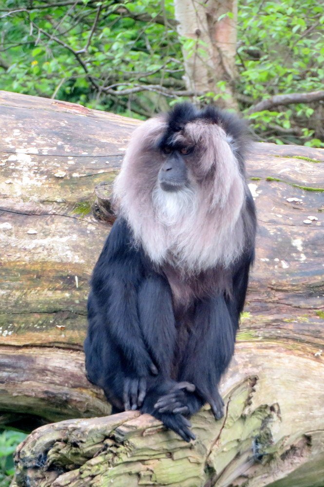 Фотография автора Ольга Завадилика