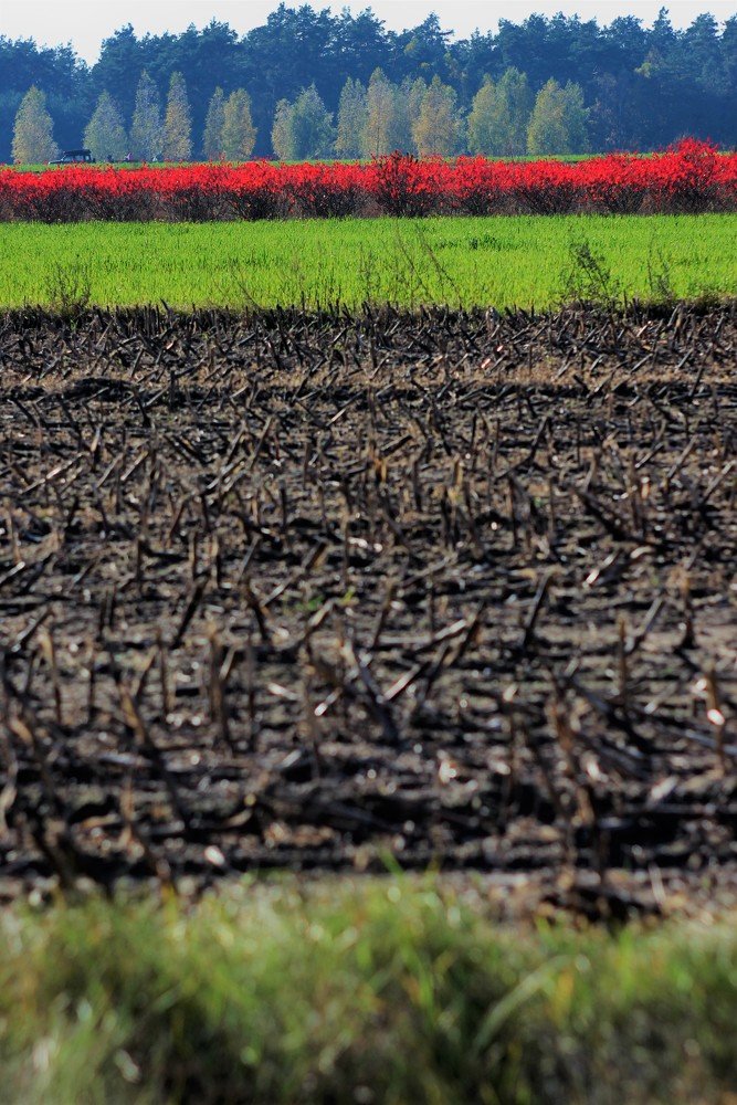 Photograph by Anna Suchcicka