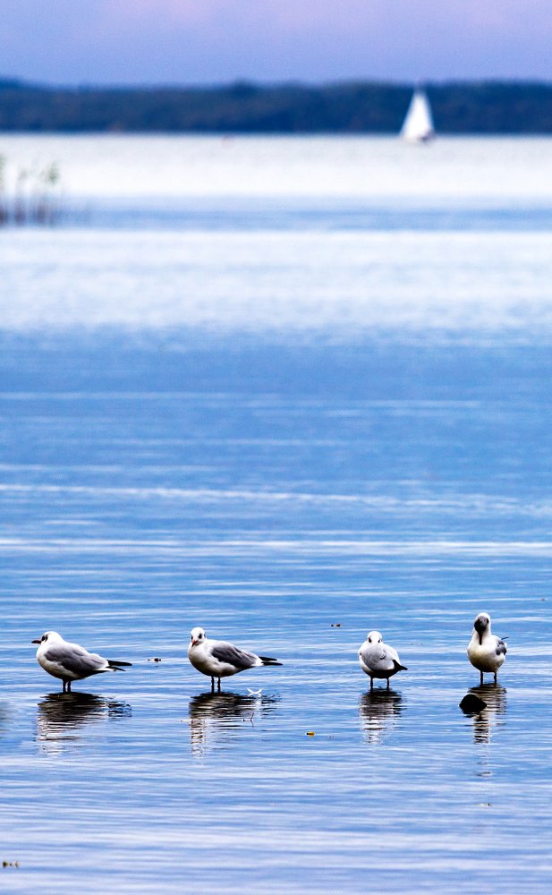 Photograph by Anna Suchcicka