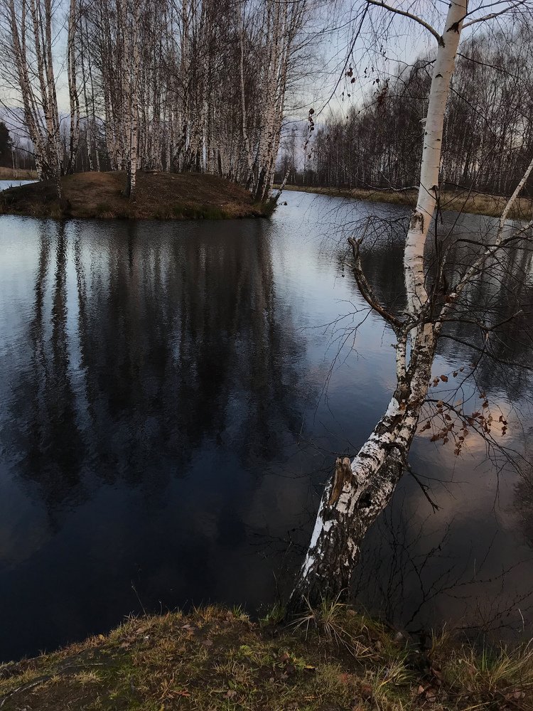 Photograph by Ершов Сергей