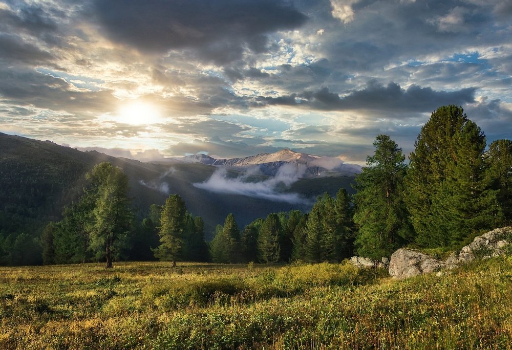 Утро нового дня