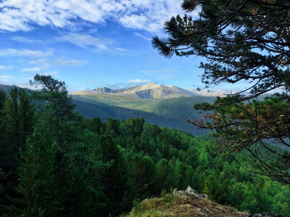 Утренние горы. Алтай.