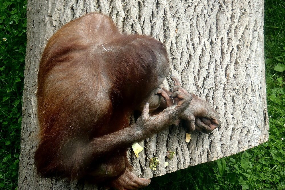 Фотография автора Ольга Завадилика