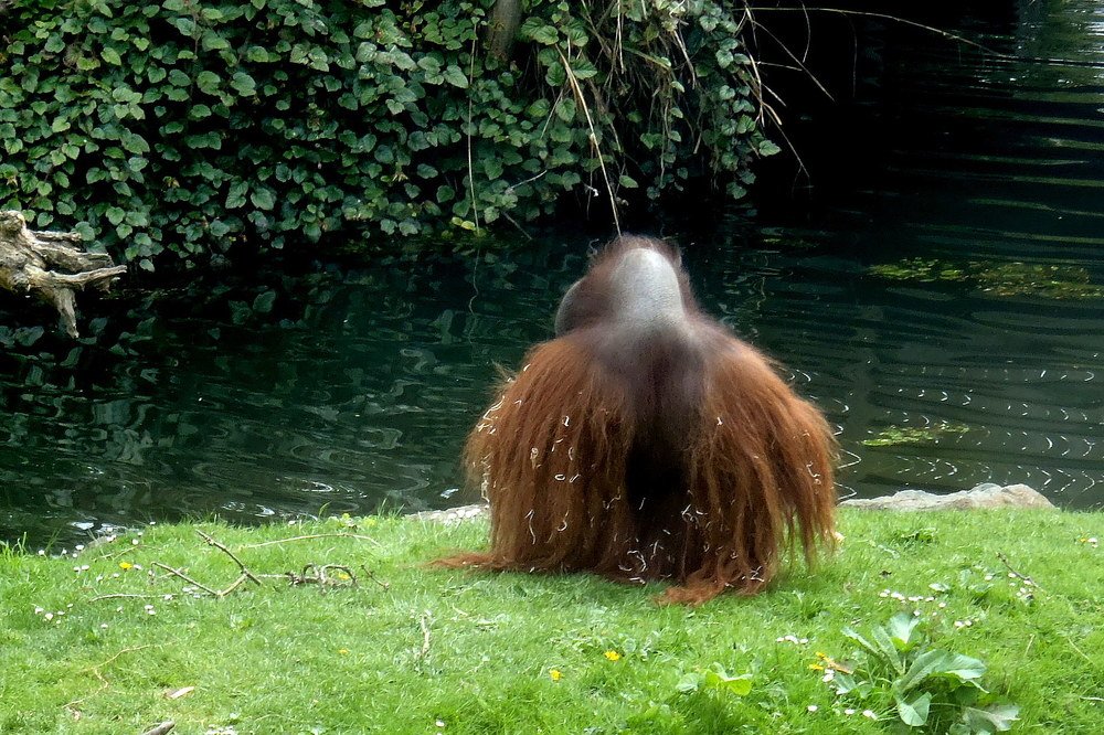 Фотография автора Ольга Завадилика